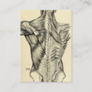 Recherche de humain cartes visite Anatomie