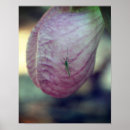 Recherche de vert de chaussure posters Pour elle