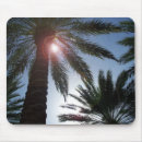Recherche de palmiers coucher soleil tapis souris Tropical