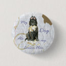 Recherche de belges badges Chiot