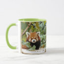 Recherche de panda rouge tasses Fourrure