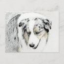 Recherche de petit berger cartes postales Pour tous