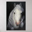 Recherche de horse posters Stallion