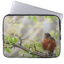 Recherche de observateur coques Faune
