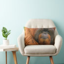 Recherche de orang outan coussins Primates