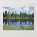 Recherche de provincial cartes postales Forêt