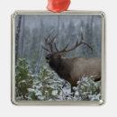Recherche de elk ornements Neige