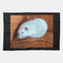 Recherche de rattie photographie Mignon