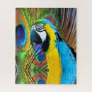 Recherche de perroquets sauvages puzzles Oiseau