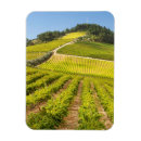 Recherche de agriculture magnets Colline