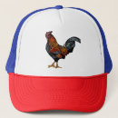 Recherche de coq casquettes Oiseau
