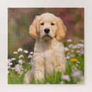 Recherche de chien puzzles Animal de compagnie