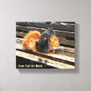 Recherche de felix le chat posters Animaux