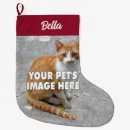 Recherche de maman chaussette de noël Pour animaux