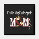 Recherche de cavaliers magnets Dog