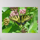 Recherche de mousepads posters Nature