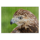 Recherche de rapace planches à découper Animal