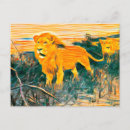 Recherche de lions africains cartes postales Vintage