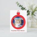 Recherche de vacances chat cartes postales Pour elle