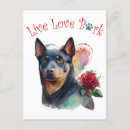 Recherche de kelpie australien Chiot