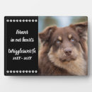 Recherche de animaux portraits Empreinte de patte