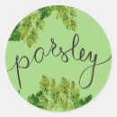Recherche de persil Nourriture