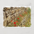 Recherche de primavera cartes postales Pavot