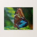 Recherche de morpho puzzles Pour tous