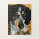 Recherche de bluetick Portrait