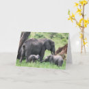 Recherche de pachydermes vœux cartes Animal