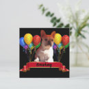 Recherche de bouledogue francais invitations Fête