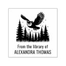 Recherche de hibou assiettes De la bibliothèque de