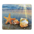 Recherche de étoiles de mer planches à découper Plage de sable