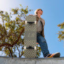 Recherche de brique skateboards Motif