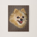 Recherche de pomeranian puzzles Pour tous