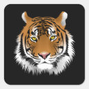 Recherche de visage tigre autocollants Animaux