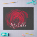 Recherche de rouge rose photographie Floral