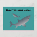 Recherche de requin drôle cartes postales Requins