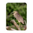 Recherche de juvénile magnets Oiseau