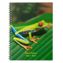 Recherche de yeux verts carnets Forêt tropicale