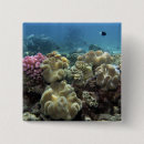 Recherche de plongée sous marine badges Mer