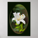 Recherche de effets posters Vert