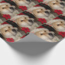 Recherche de casquette papier cadeau Toute personne