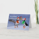 Recherche de pingouins noël cartes Oiseau