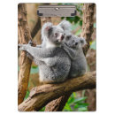 Recherche de australie porte blocs Koala