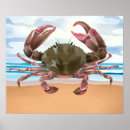 Recherche de crabes posters Créatures marines