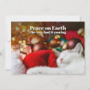Recherche de de paix noël cartes Pour elle