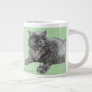 Recherche de grands chats tasses Toute personne