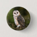 Recherche de hiboux mignons badges Pour tous