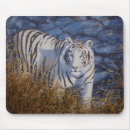 Recherche de chat rayé tapis souris Tigre